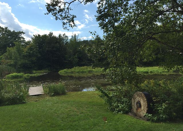 Pond view