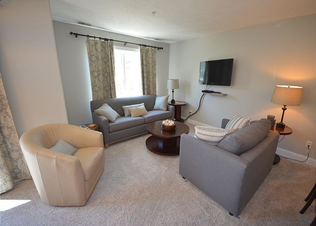 Living area with single pull-out sofa