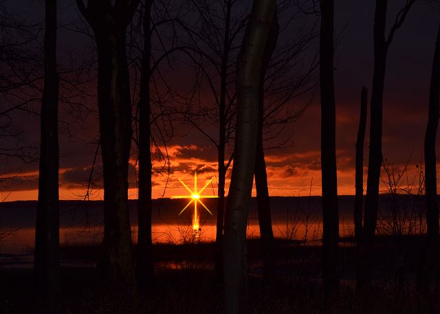 Winter sunrise