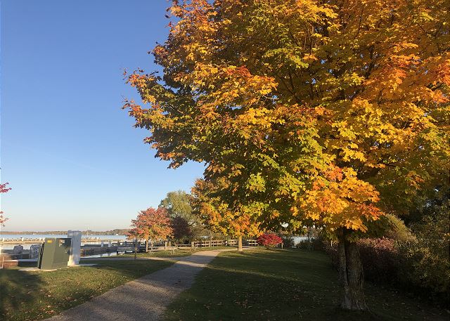 Suttons Bay in the fall