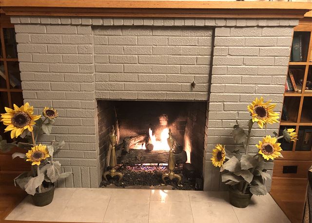 Gas fireplace in living area.