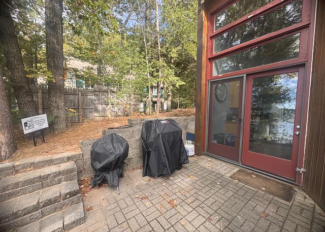 Both a gas/charcoal grill