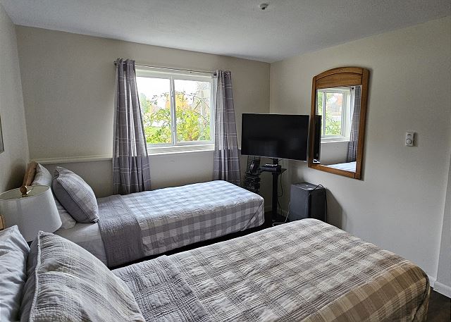 TV in lower-level twin bedroom