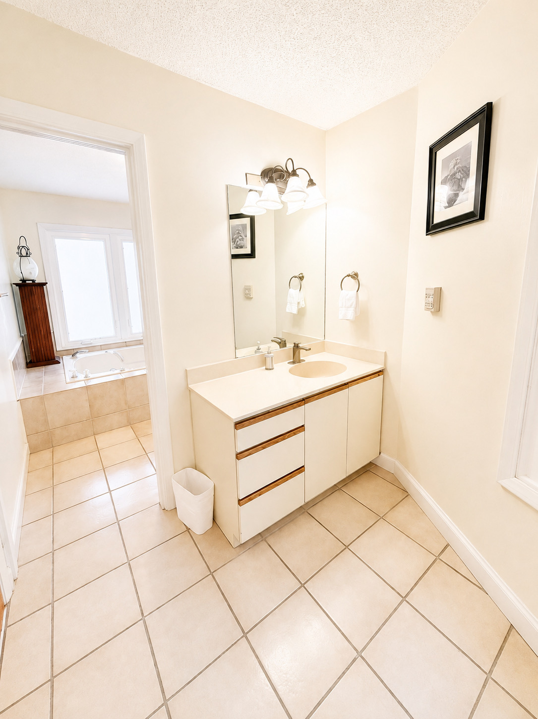 Beech Haven | Ski-In/Out - Sauna - Sleeps 18 | Photo 14