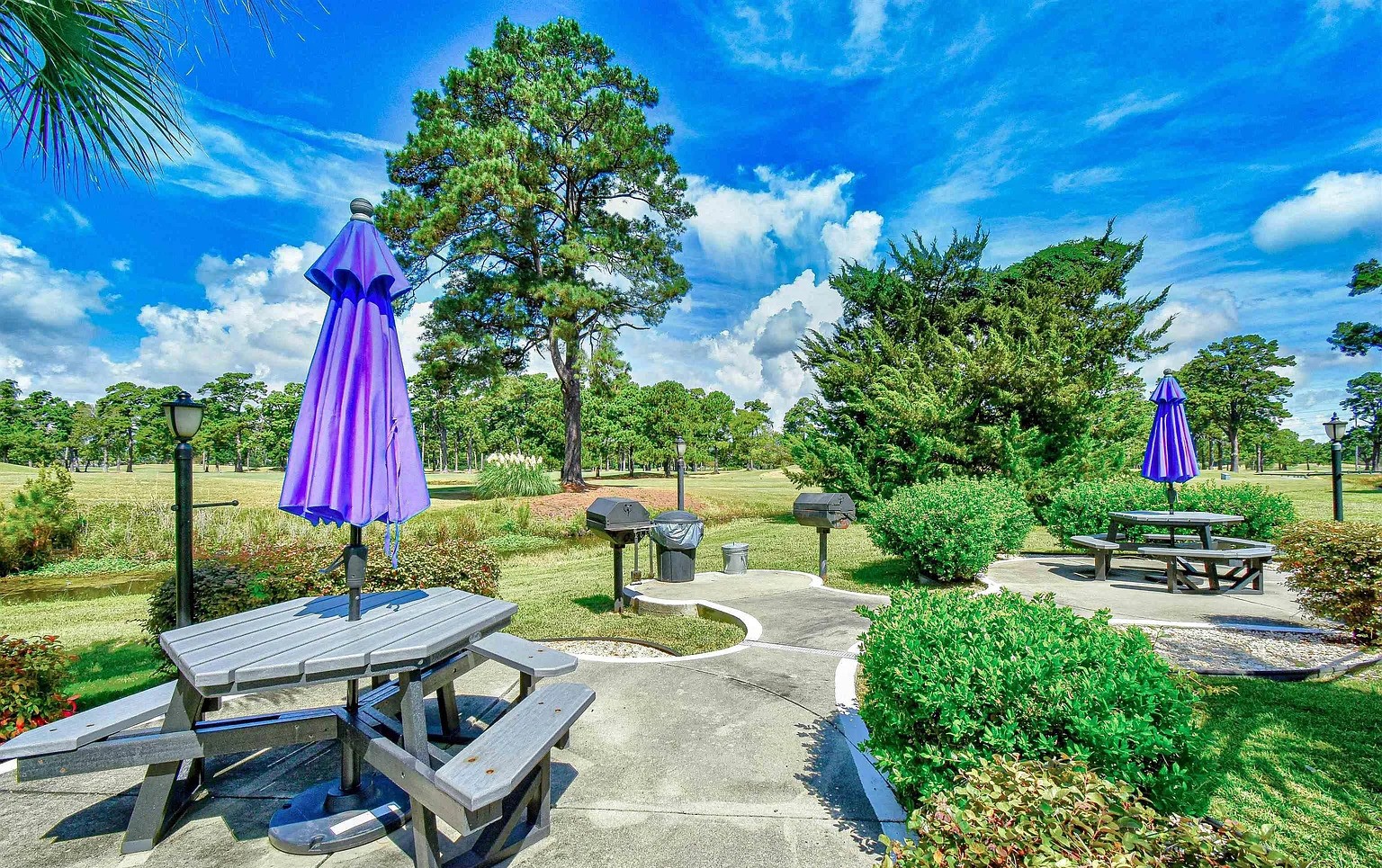 Immaculate Myrtlewood | Photo 4