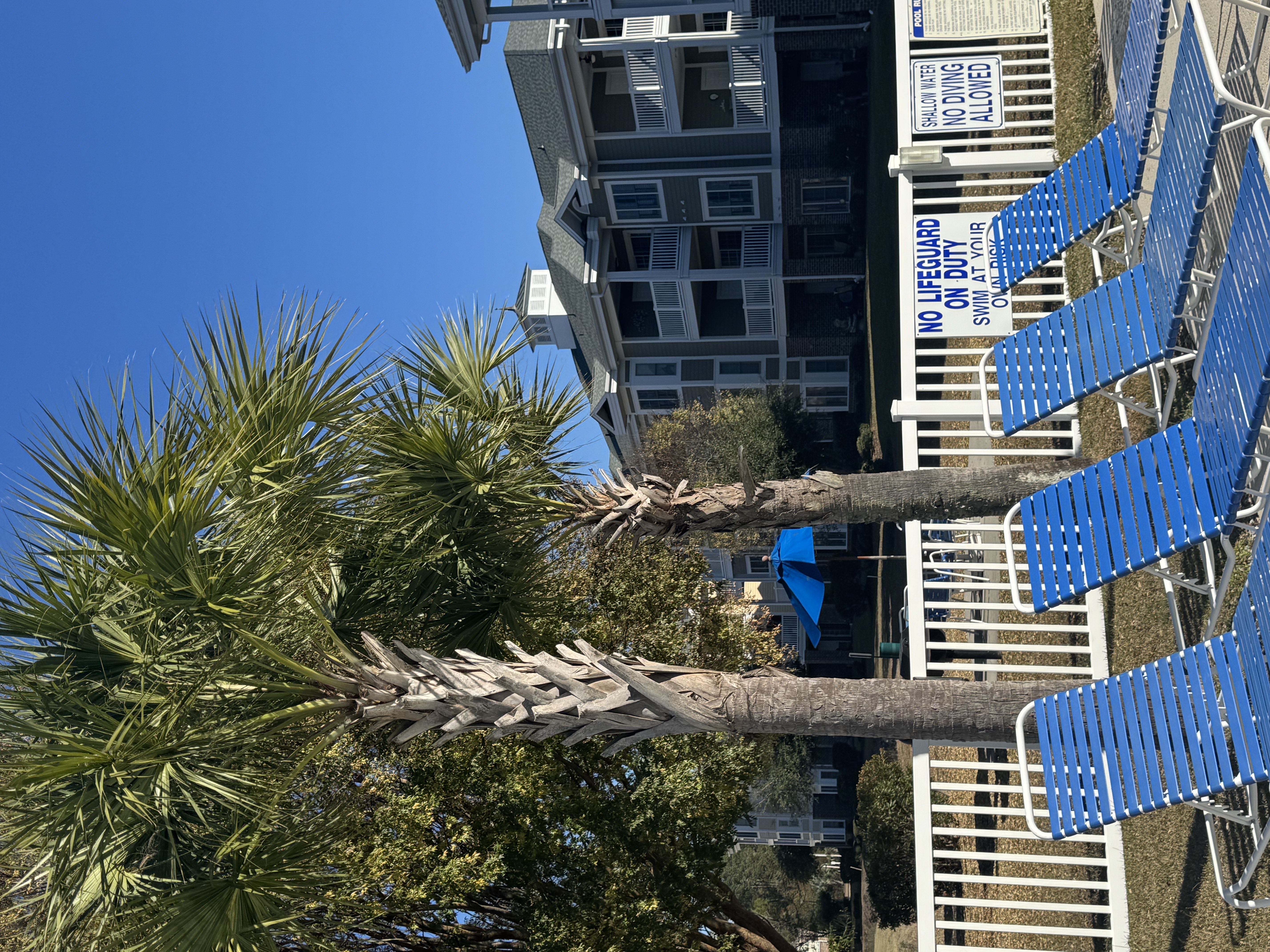 Magnolia Pointe Paradise | Photo 5