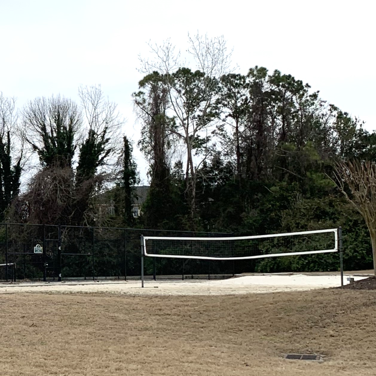 Sea Ya'll Later At Barefoot Resort | Photo 2