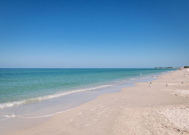 Palm Cay 3