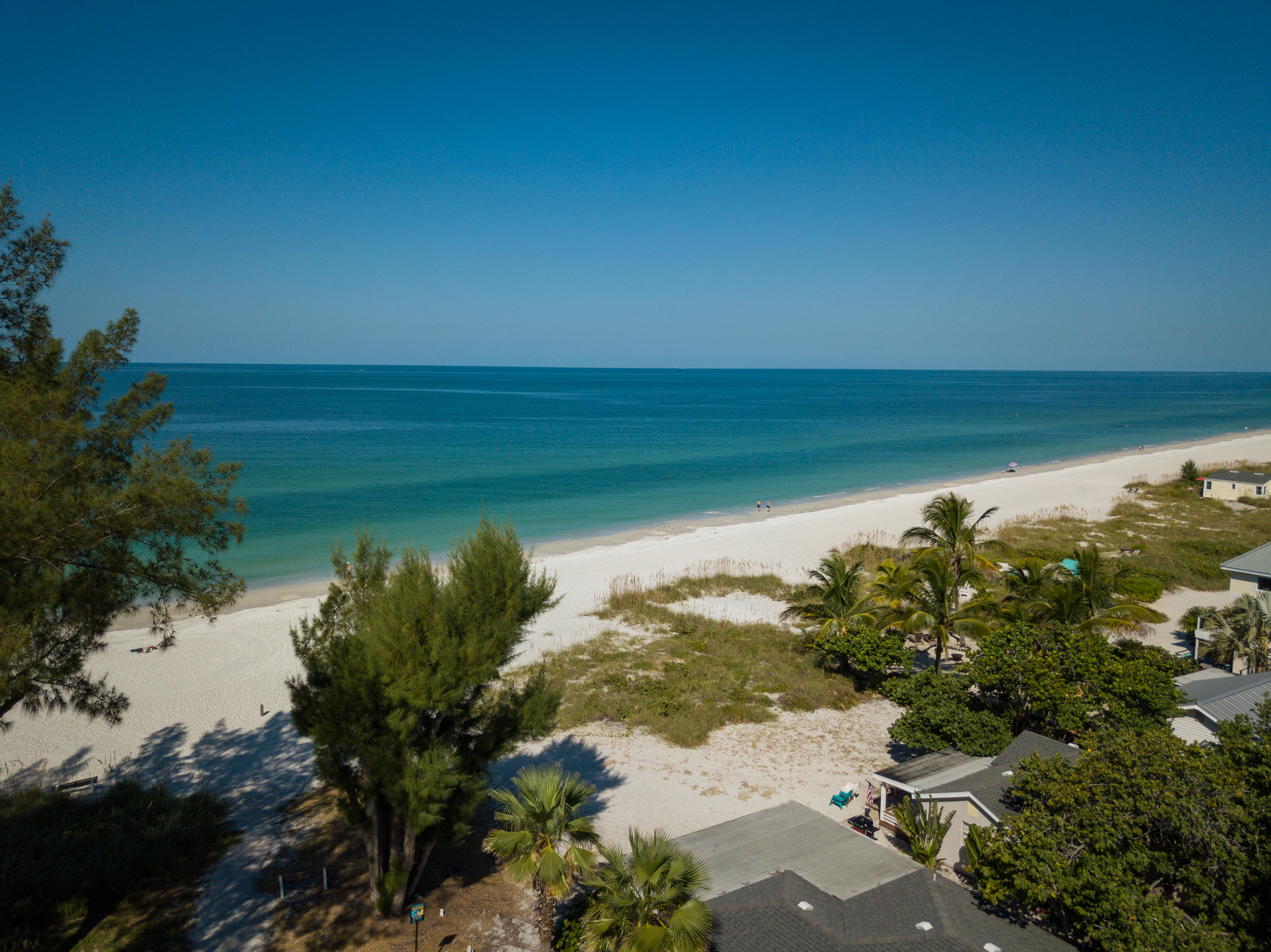 Palm Cay 3