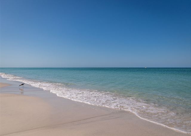 Palm Cay 4