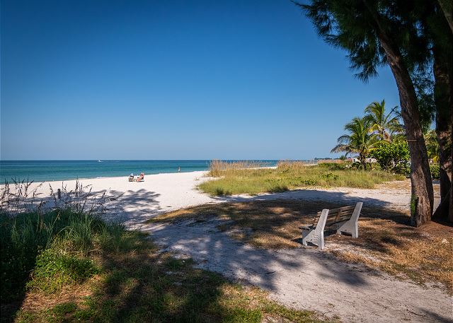 Palm Cay 4