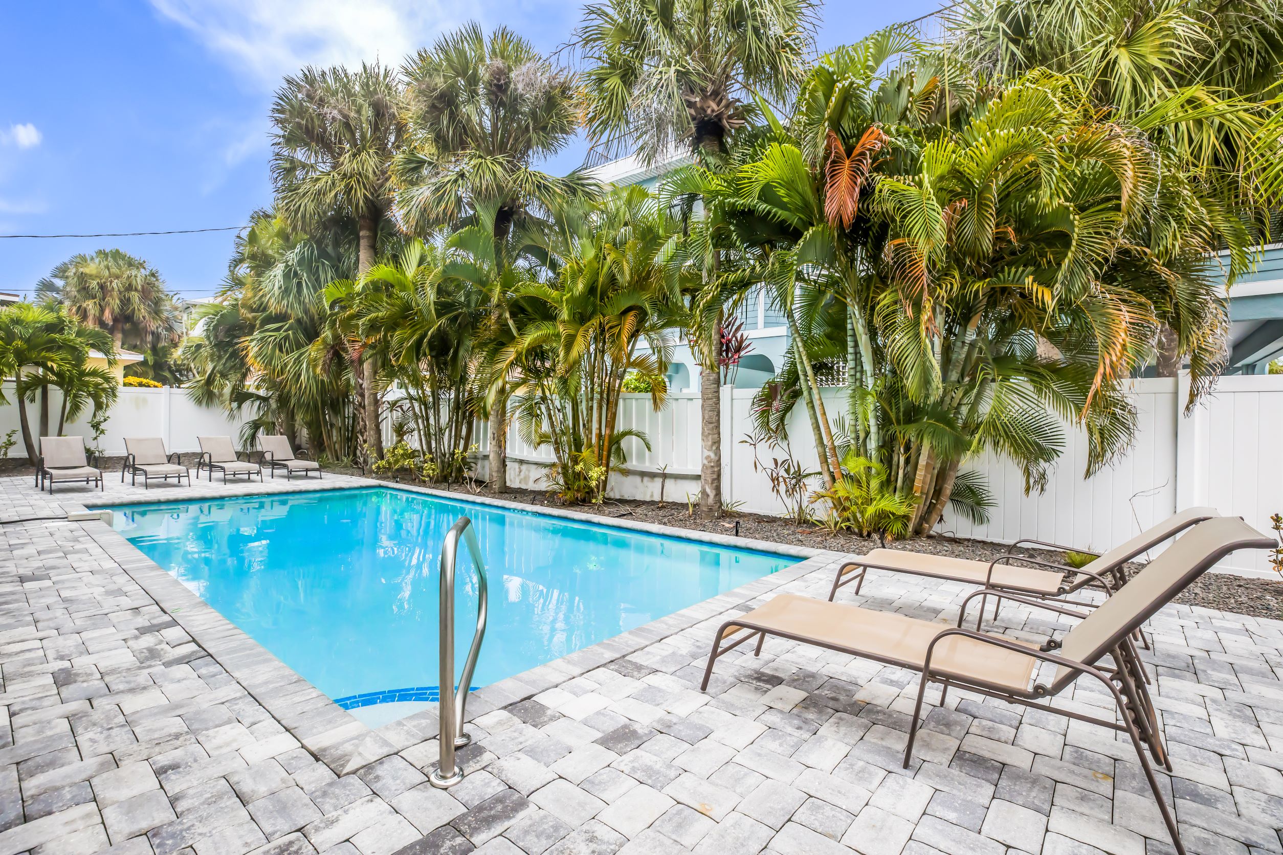 The Palms #3