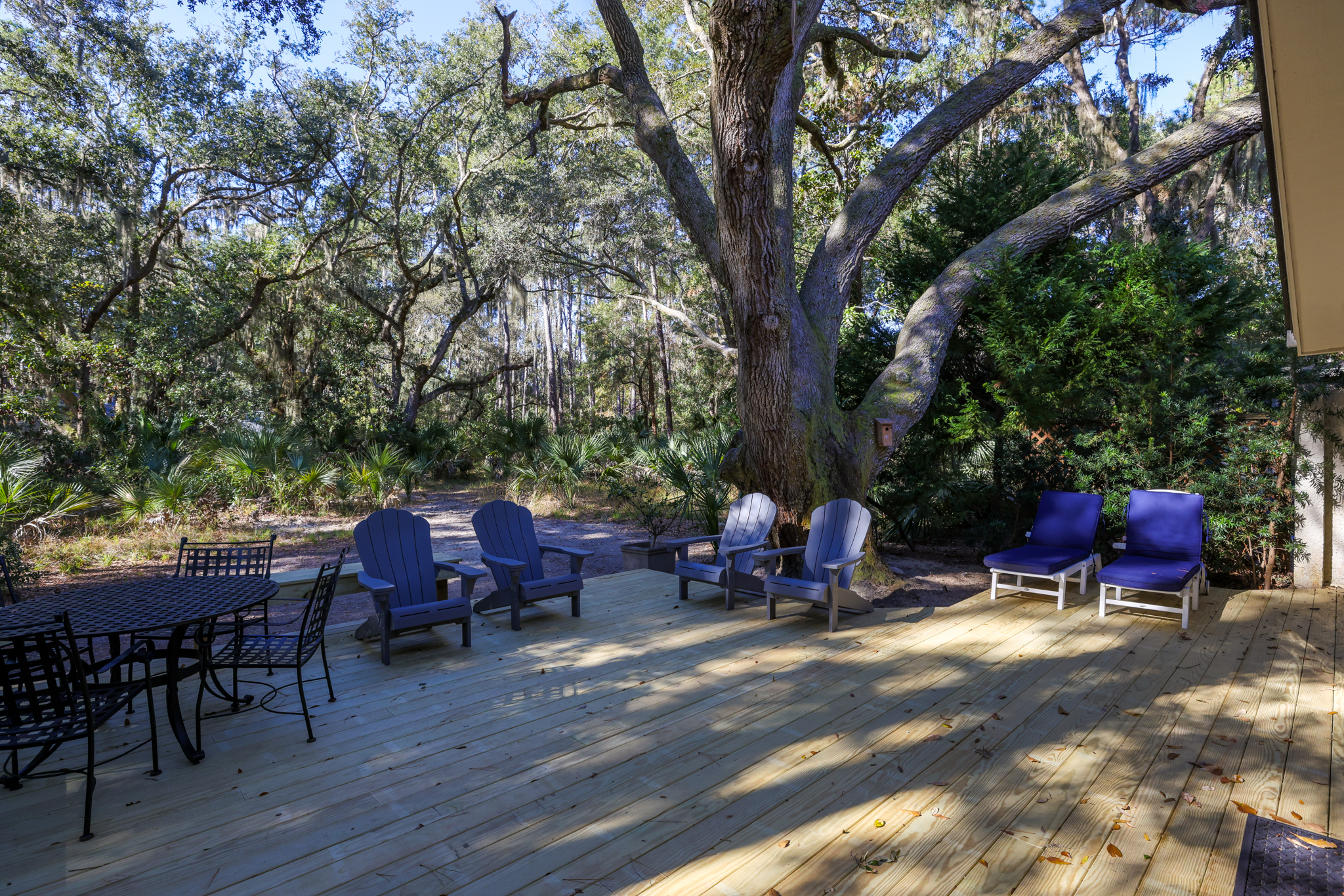 12 Dewberry | Photo 36