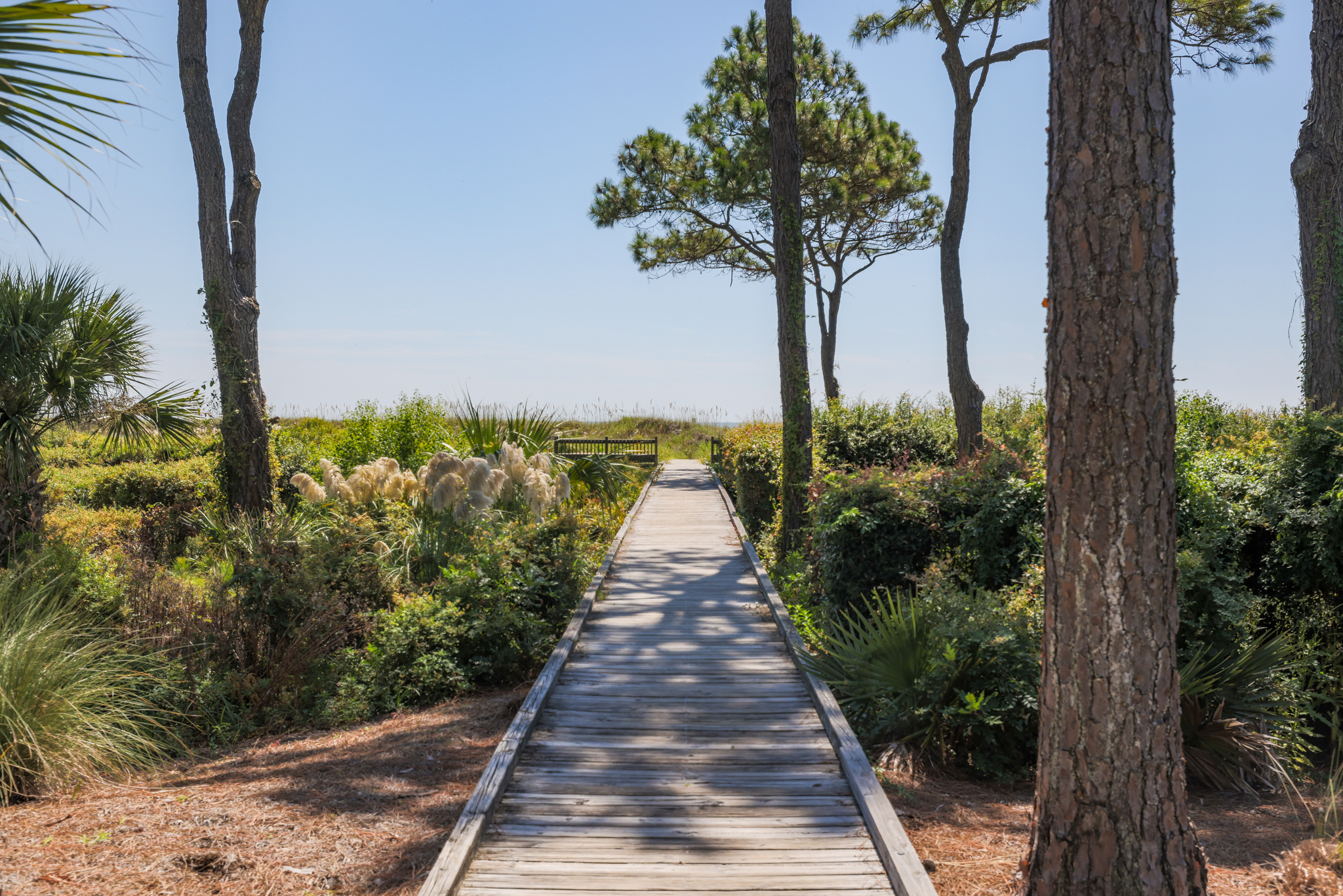 43 Ocean Club | Photo 27