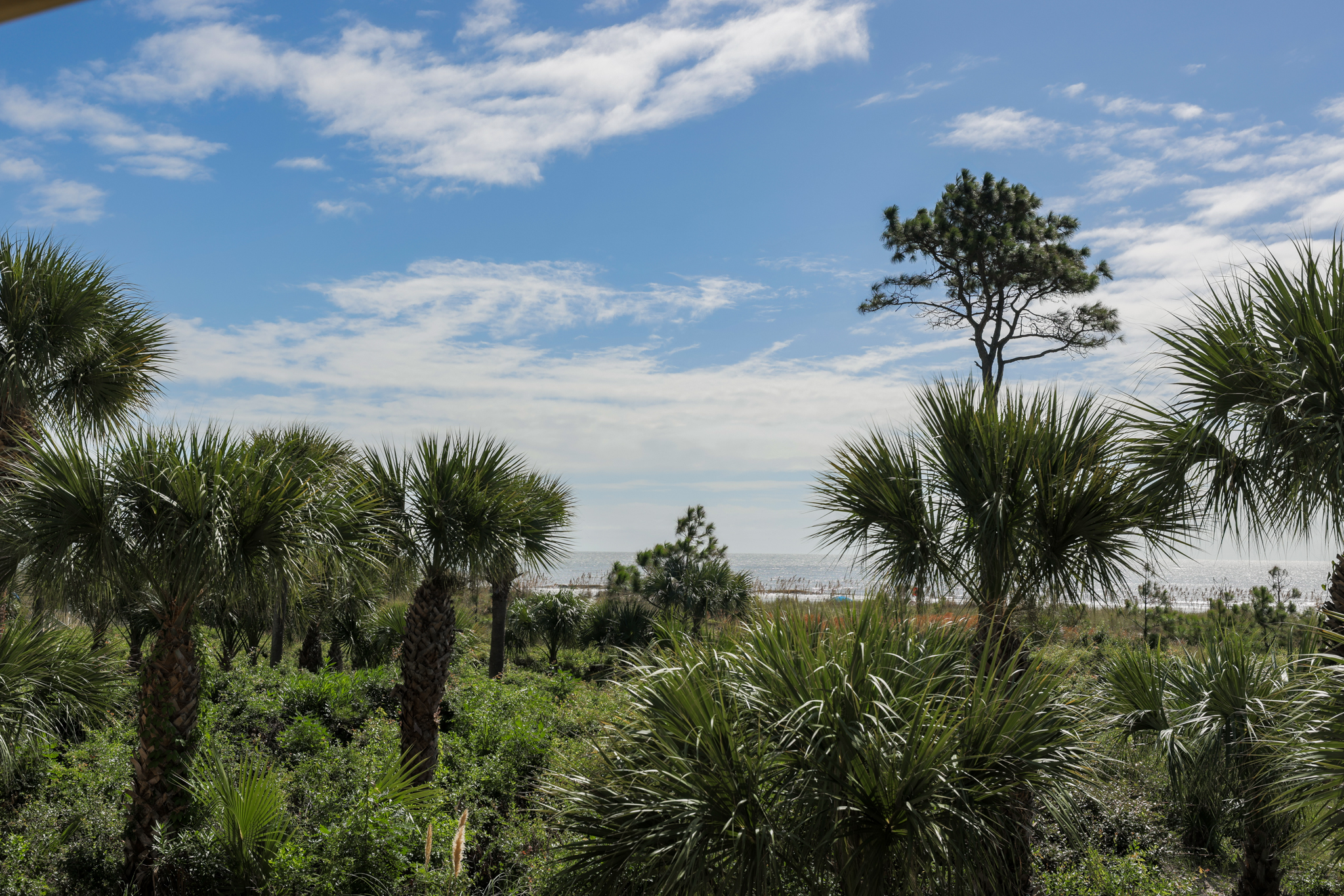 109 Breakers | Photo 17