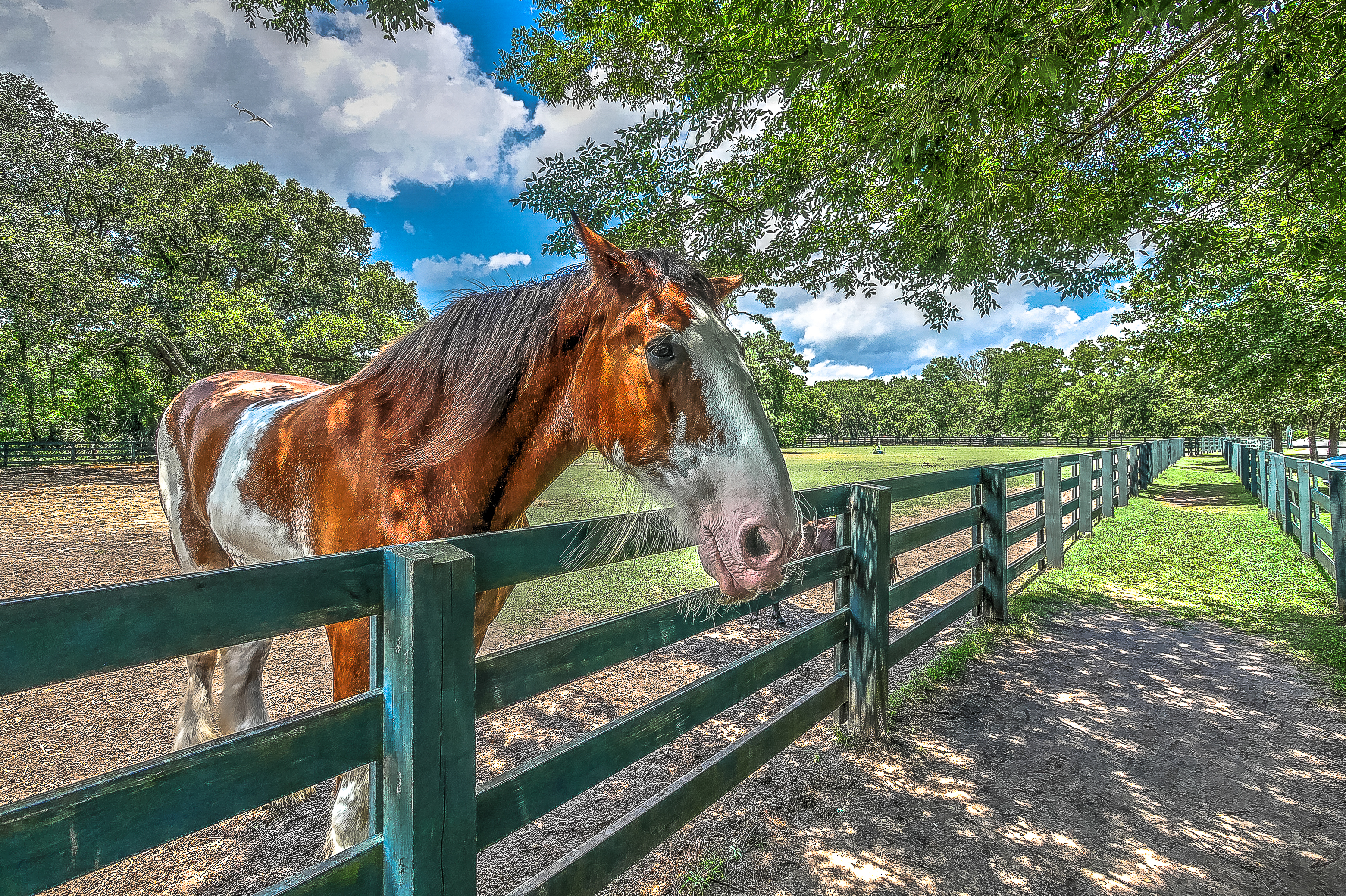 25 Wildwood Rd | Photo 40