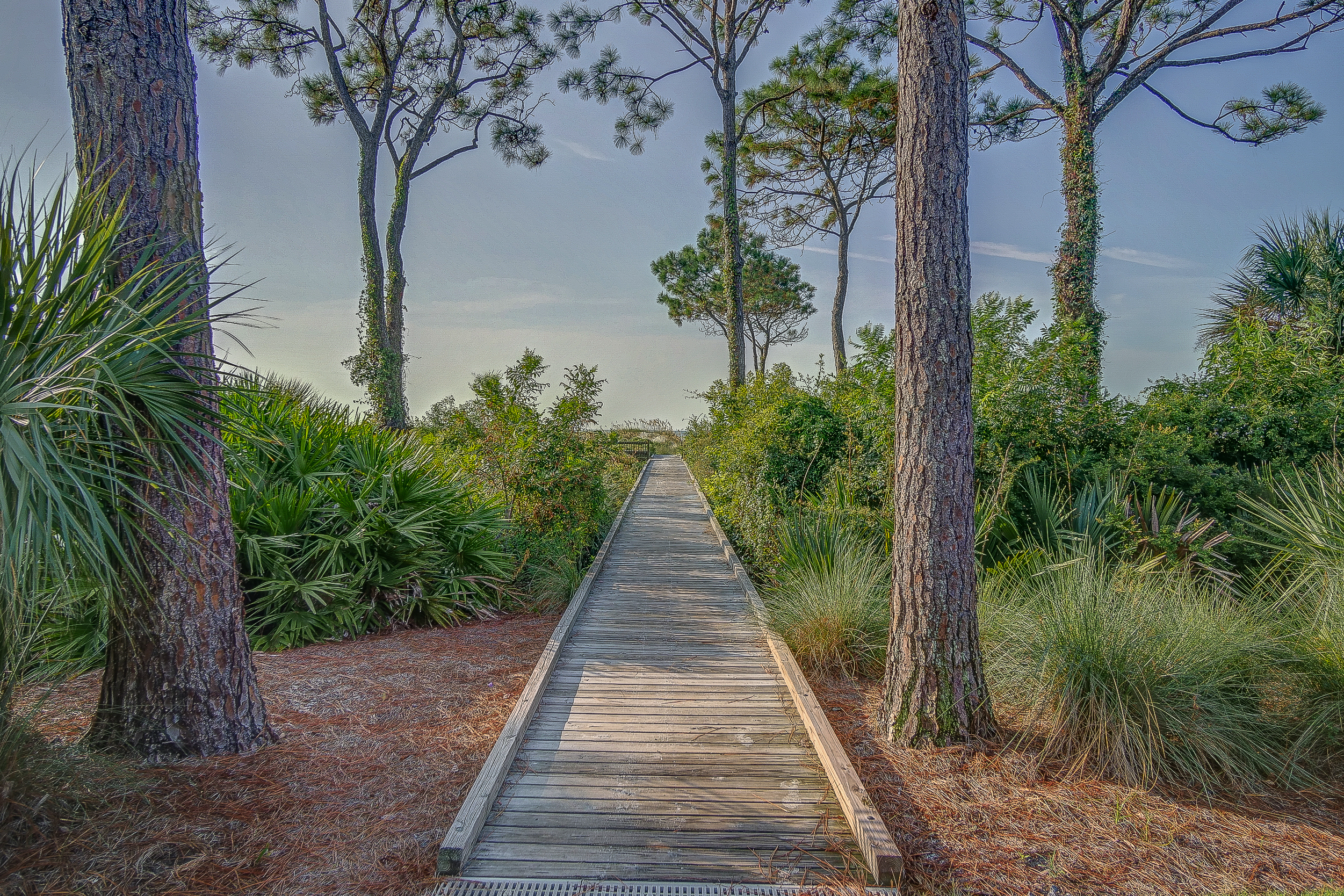 5 Ocean Club | Photo 24