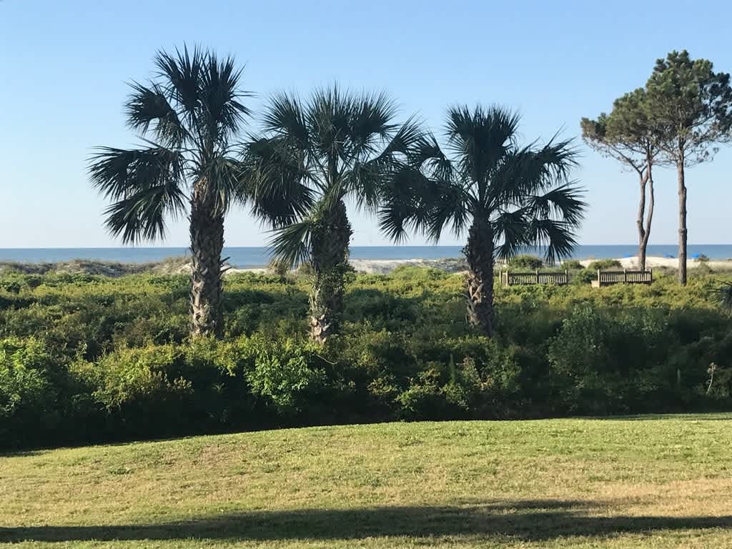 51 Ocean Club