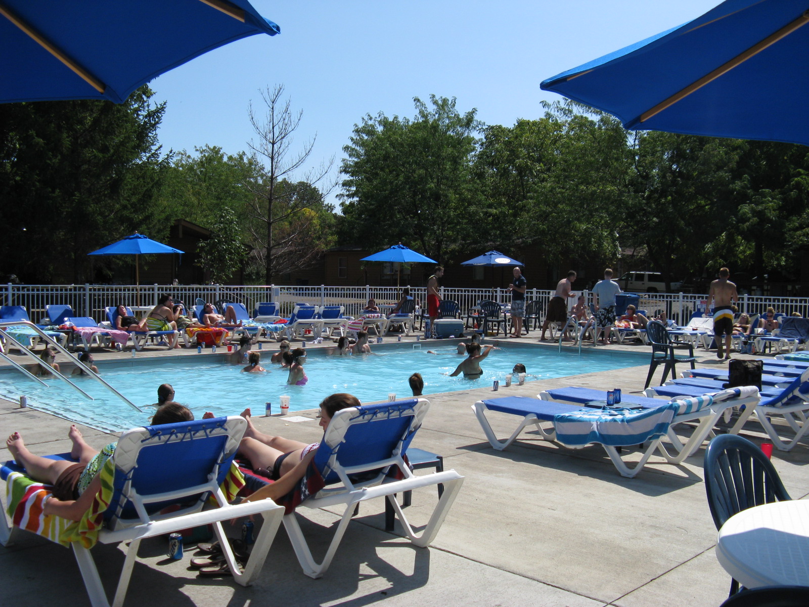 Put-in-Bay Island Club #71 | Photo 24