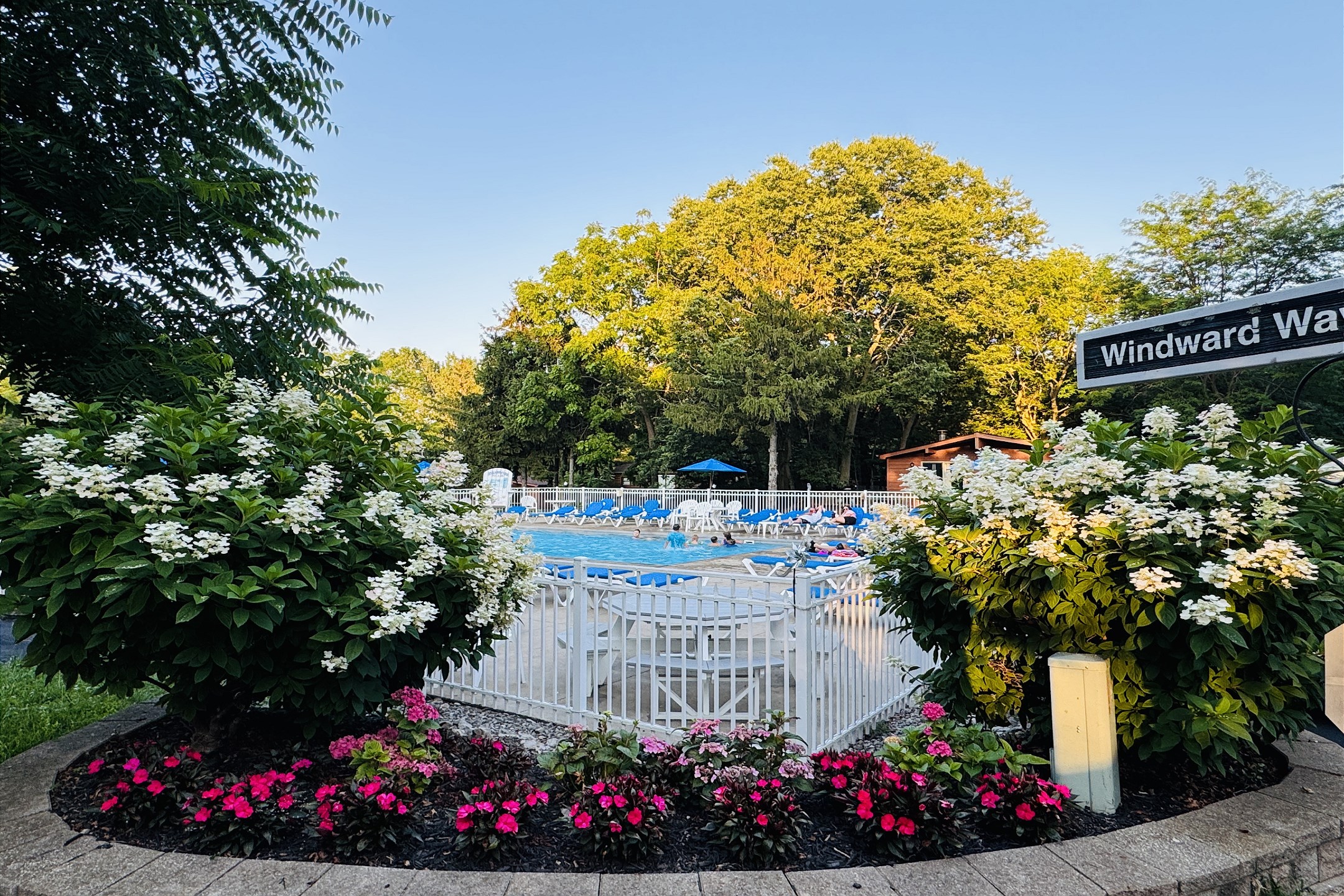Put-in-Bay Island Club #71 | Photo 5