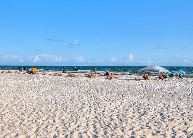 The Beautiful Beach at the Resort