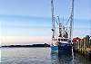 Shrimp Boat