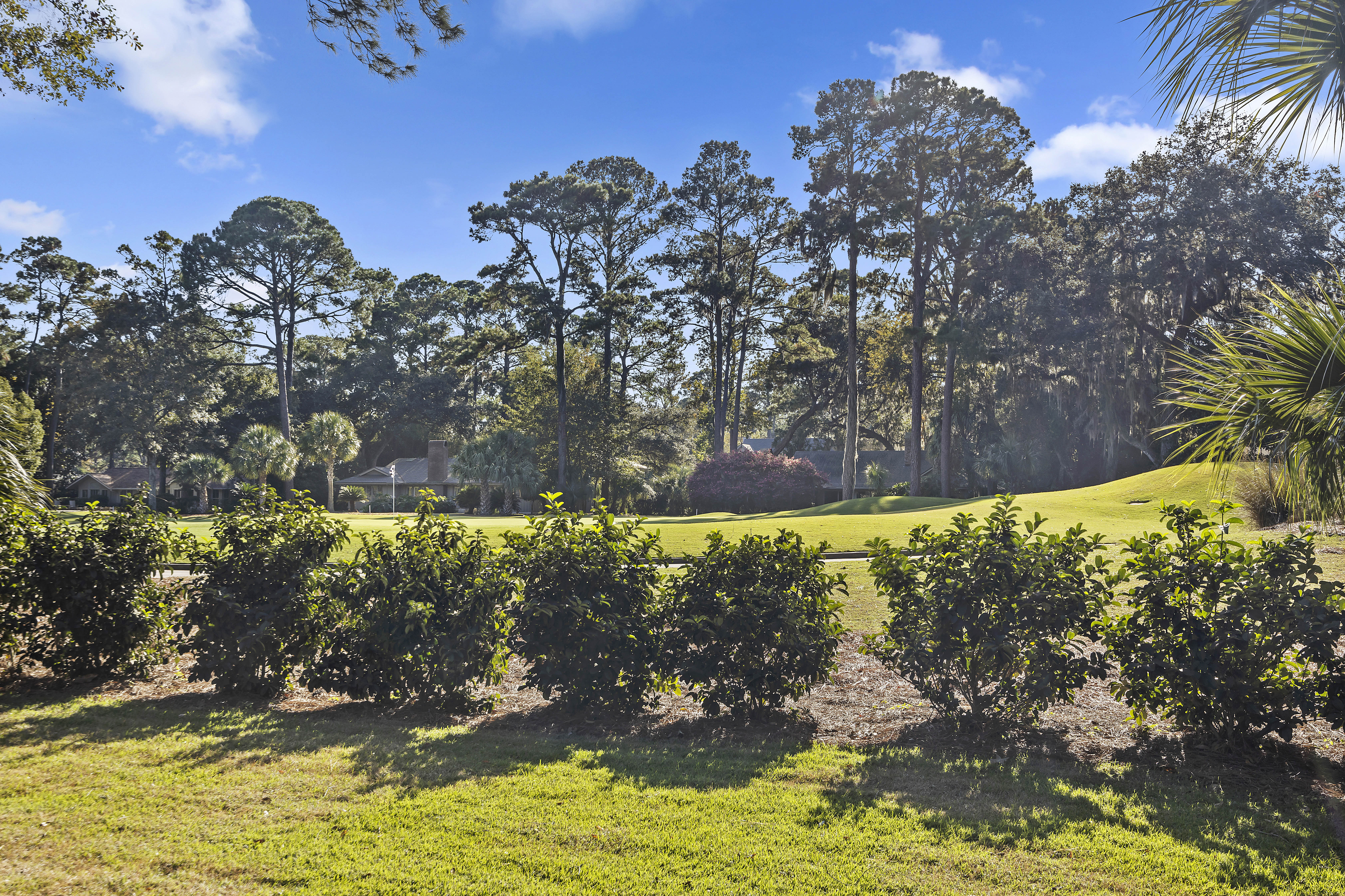 2 Tupelo | Fairway views from the pool