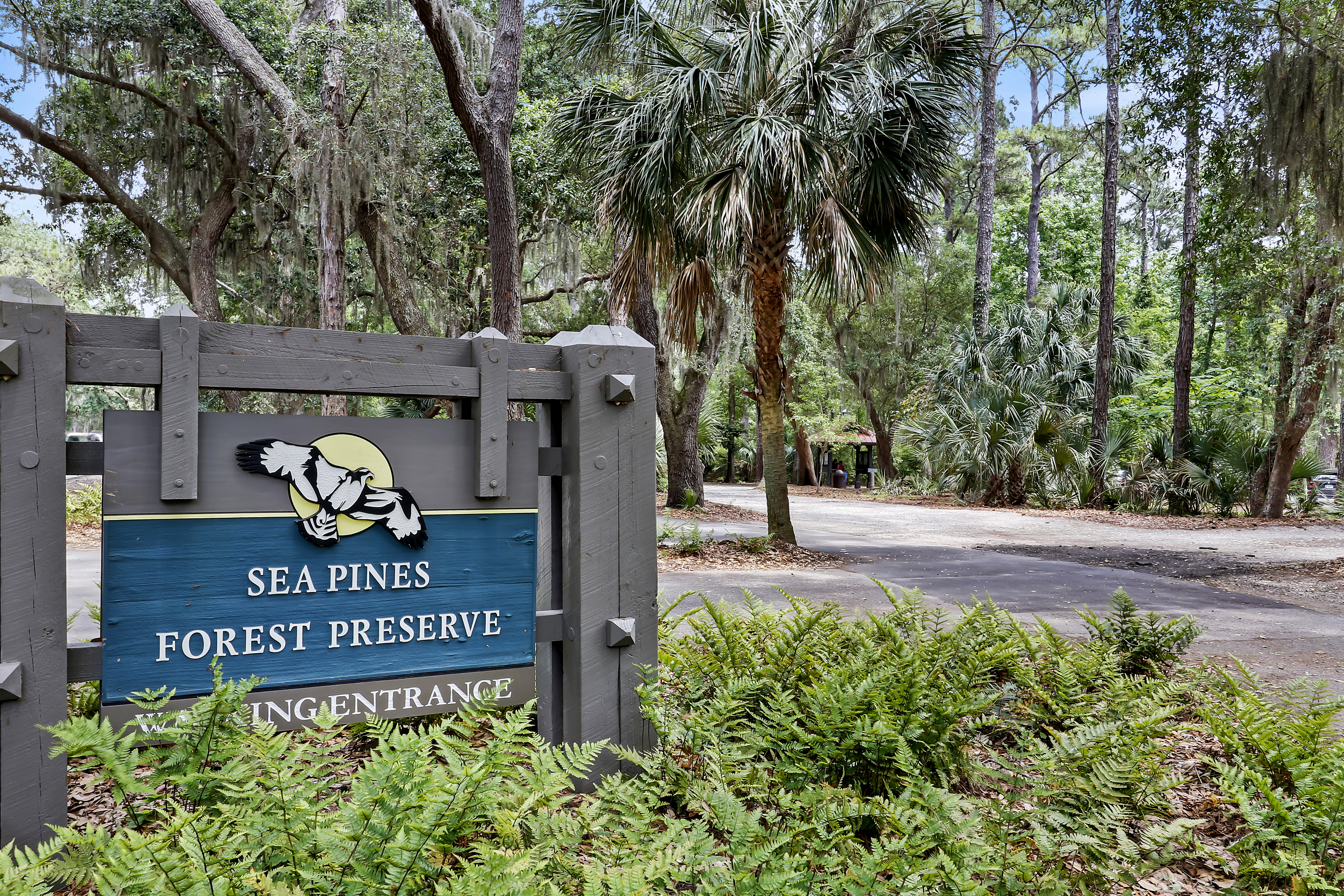 8 Beach Lagoon | Sea Pines Forest Preserve