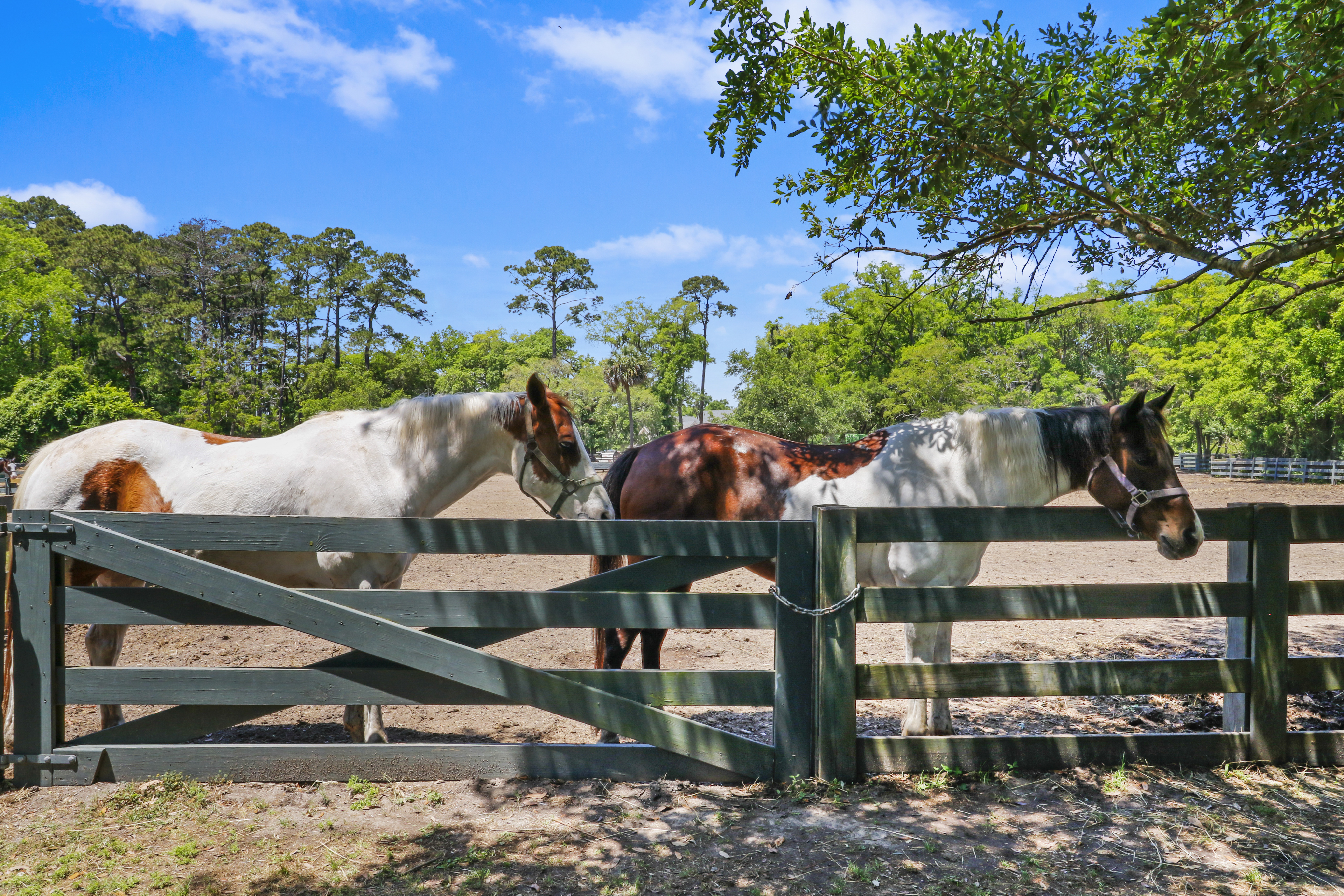1 Indigo Lane | Lawton Stables