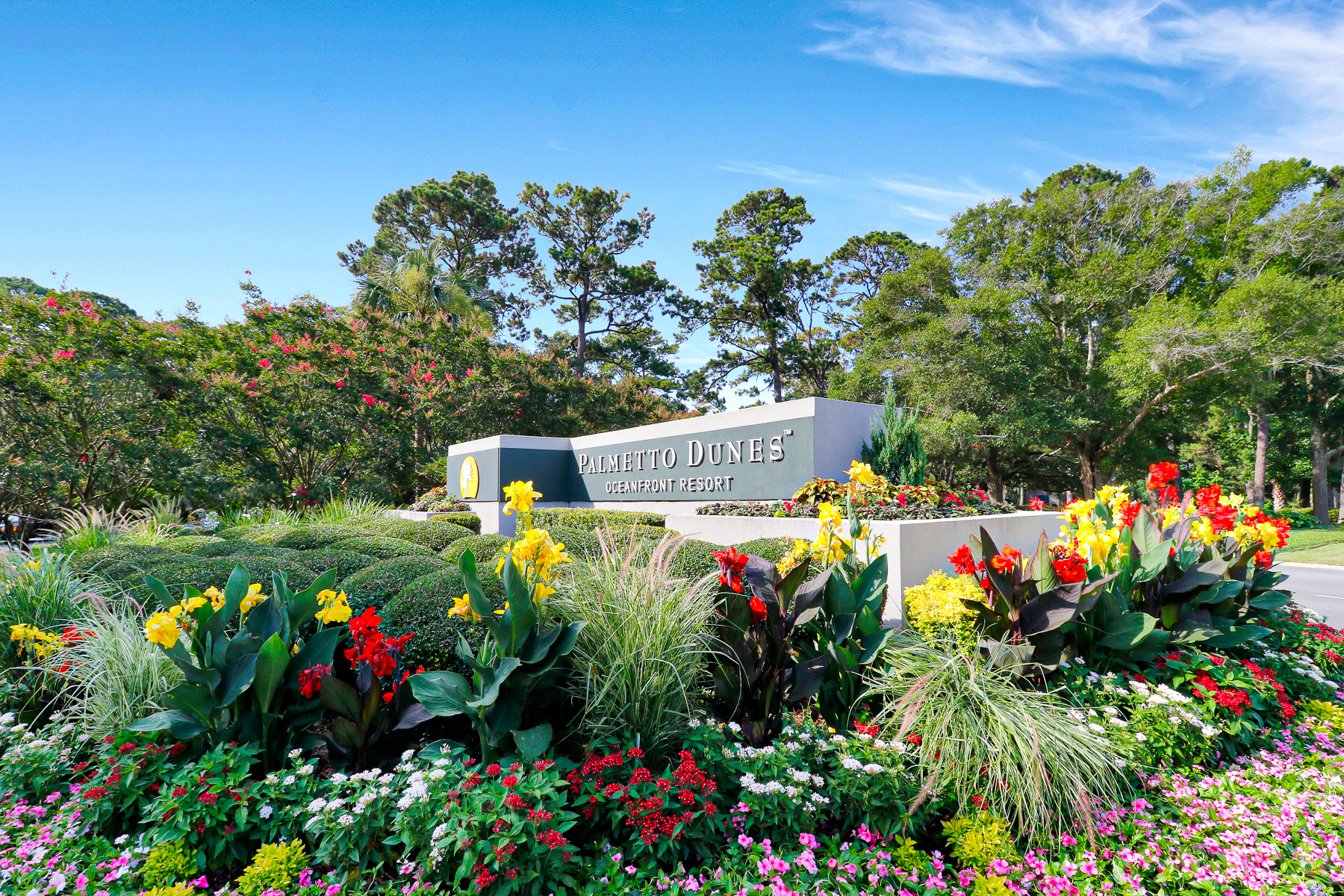 Welcome to Palmetto Dunes!