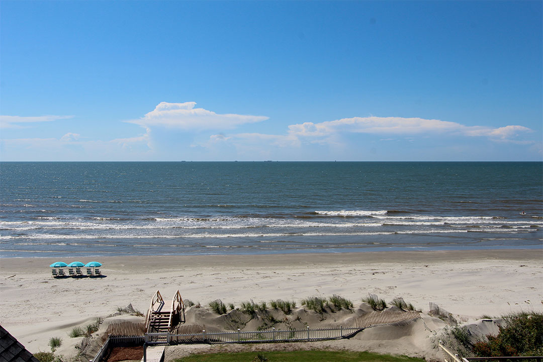 Isle of Palms Pet Friendly Rentals Island Realty