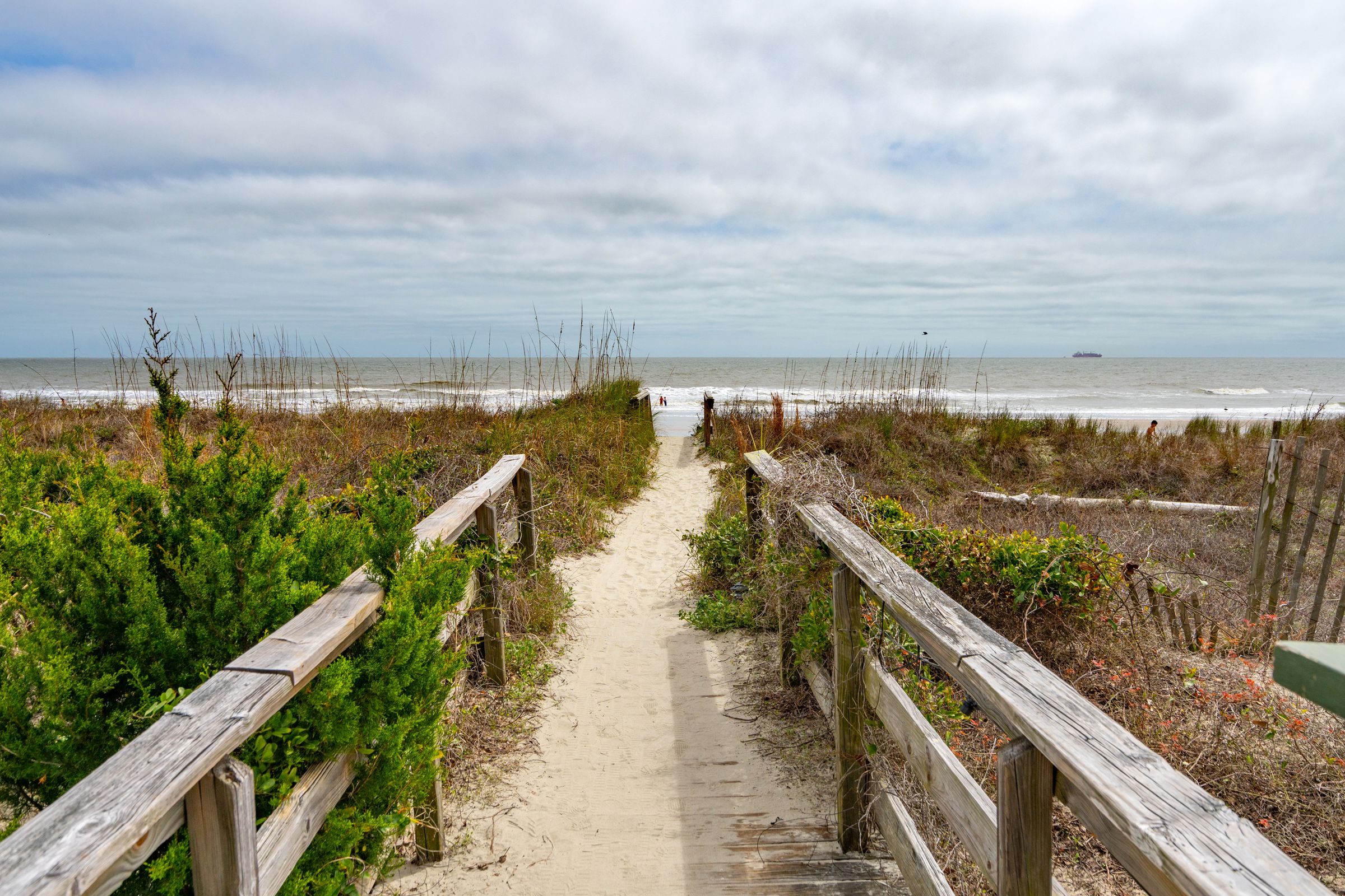 Sea Cabin 240C | Photo 2