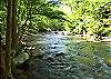 River's Edge