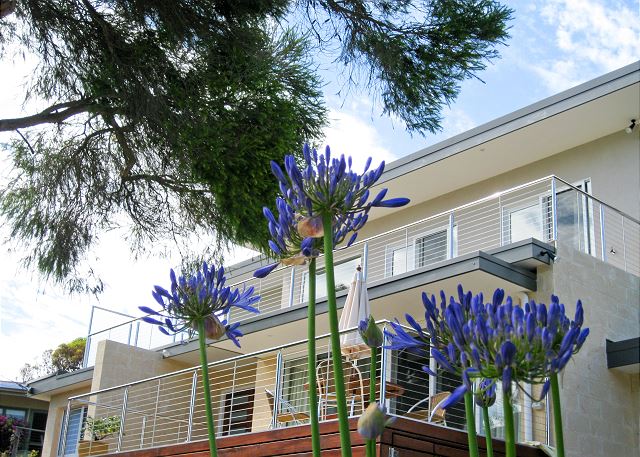 Top Deck Apartment