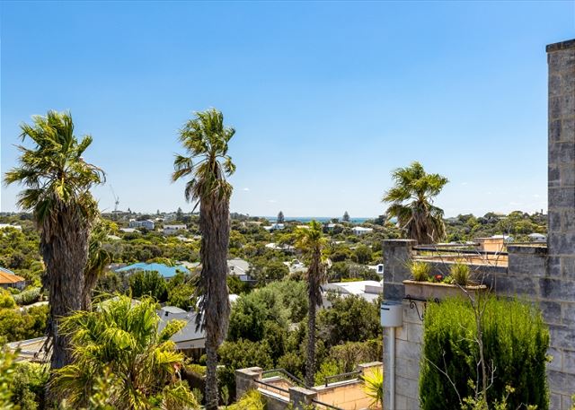 Stunning Treetop Views