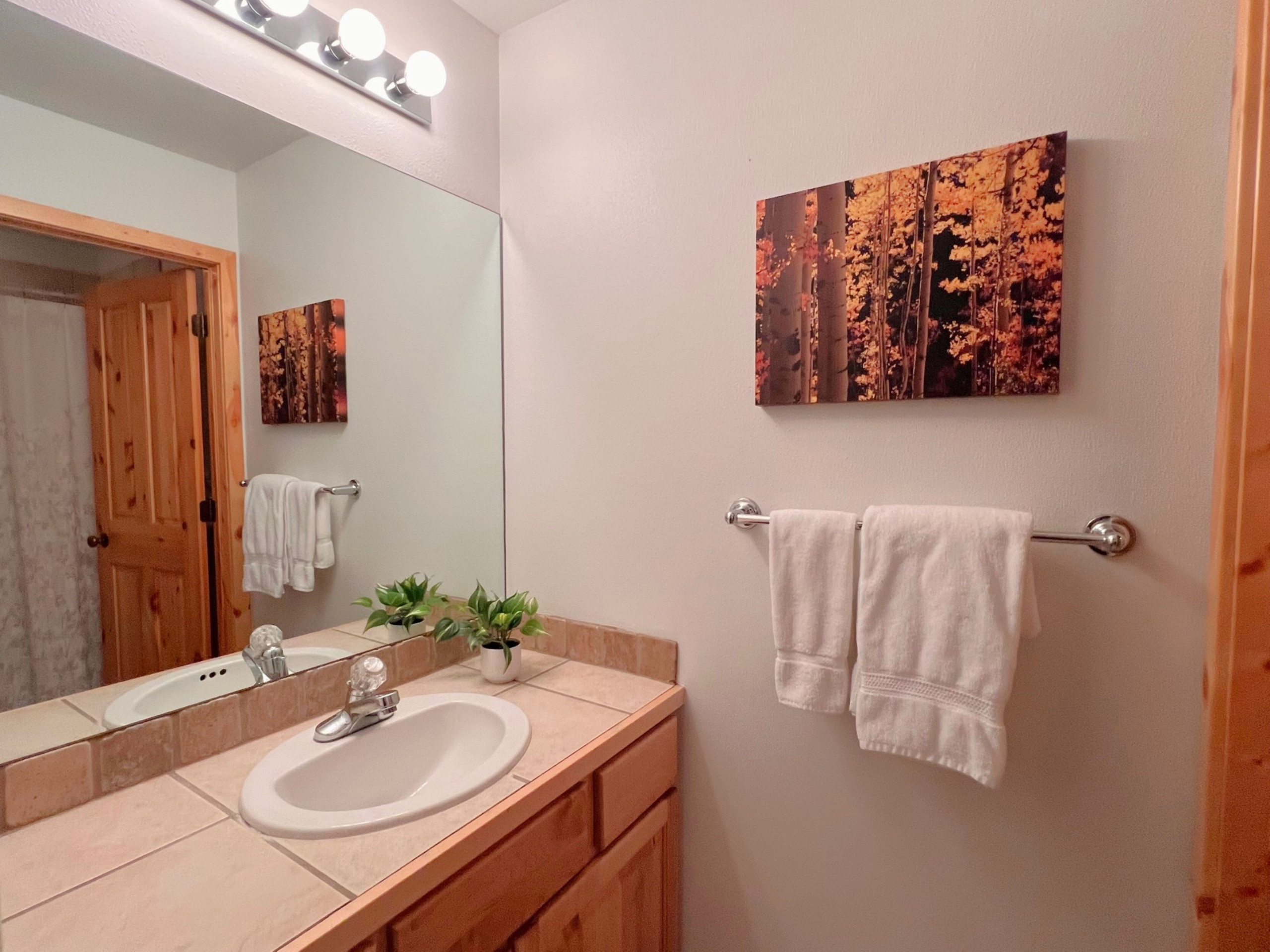 Twin Elk Mount Lincoln Condo - Ski-In - Hot Tub - Walk to Main St! | Photo 24