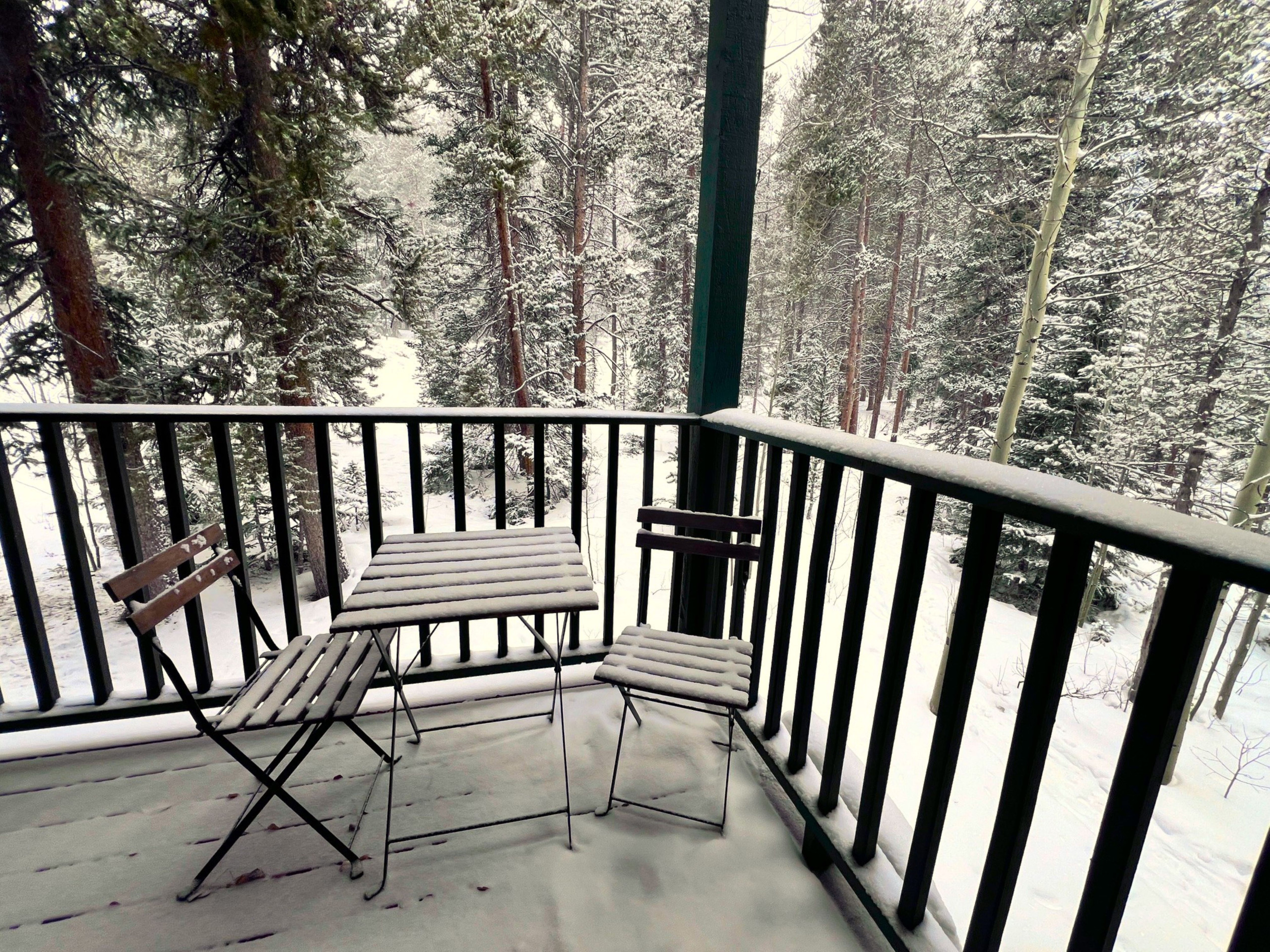 Twin Elk Mount Lincoln Condo - Ski-In - Hot Tub - Walk to Main St! | Photo 34