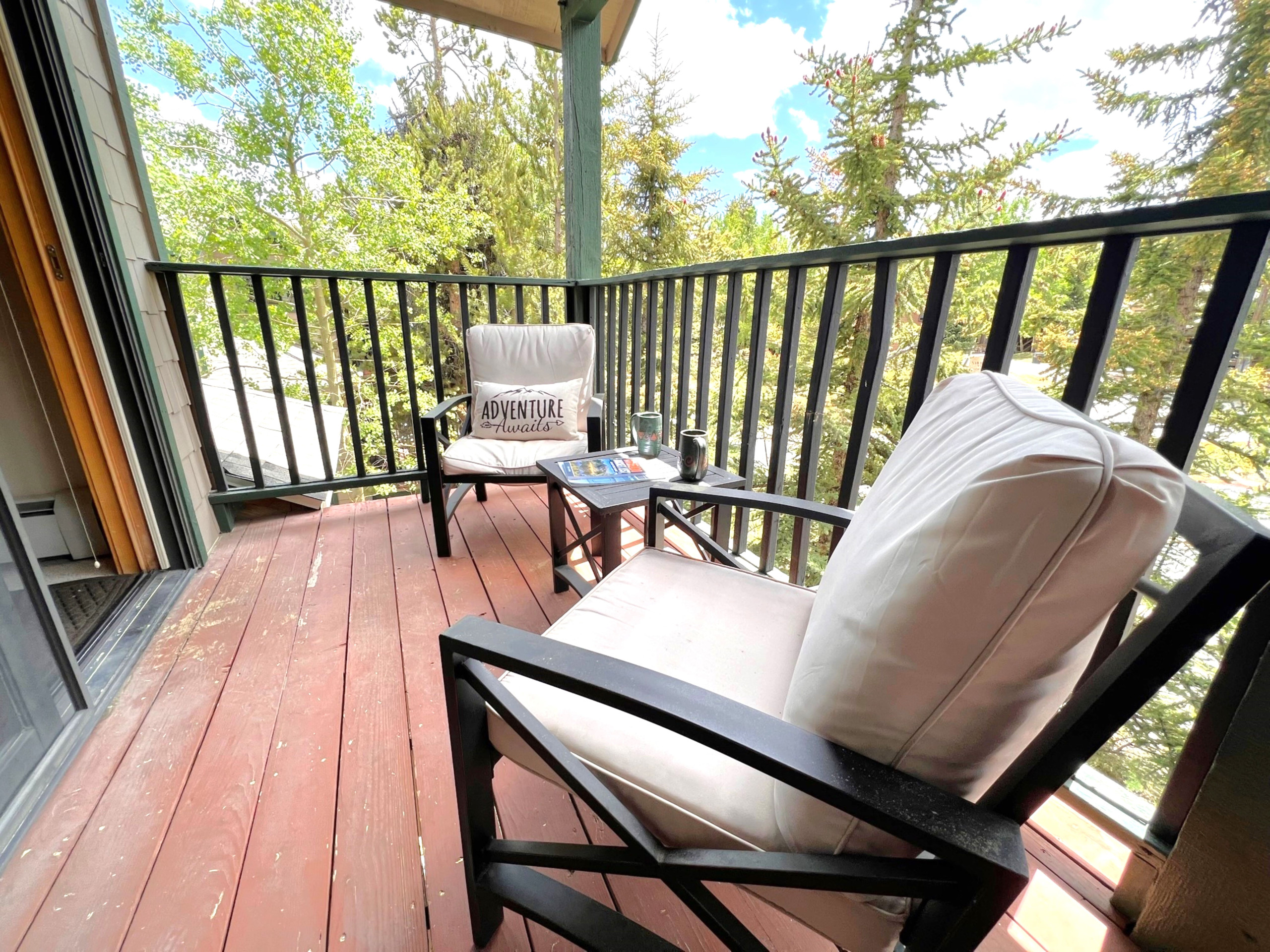 Twin Elk Mount Bross Condo - Ski-In - Walk to Main St - Hot Tub | Photo 10