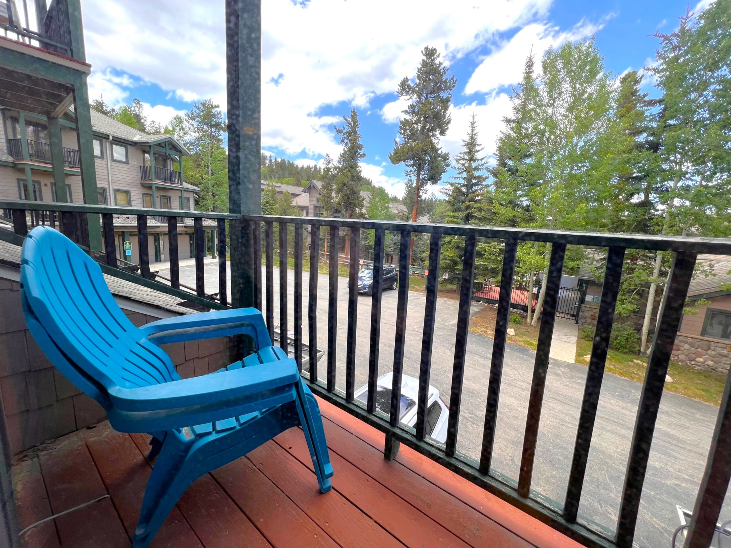 Twin Elk Mount Bross Condo - Ski-In - Walk to Main St - Hot Tub | Photo 25