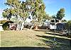Backyard grassed area