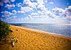 The Beach The Beach
