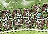 Site Plan Site Plan