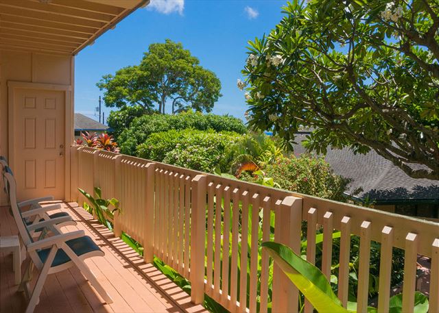 Poipu Plantation Plumeria 90