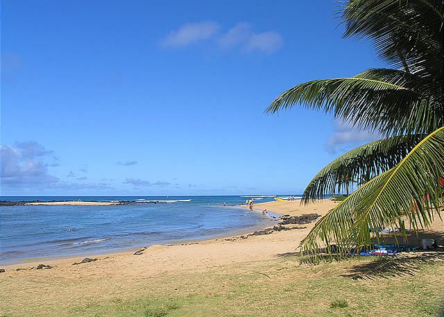 Poipu Plantation Plumeria 30