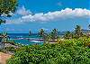 Poipu Plantation Plumeria 150