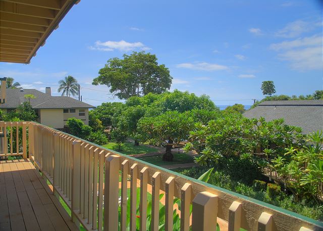 Poipu Plantation Mango 10