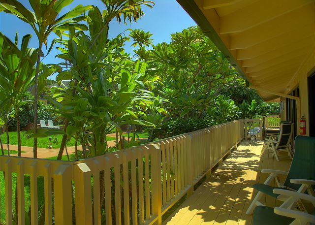 Poipu Plantation Mango 120