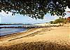 Plantation Hale J11 180