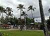 Plantation Hale J11 200
