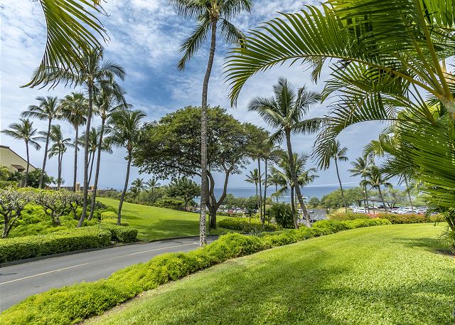 Maui Kamaole #G-101